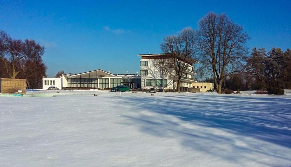 Vilas & Wellness Resort Orlik Kozarovice Eksteriør billede
